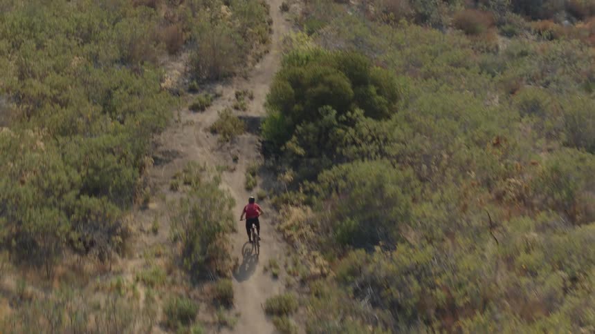 Someone on a bicycle is vigorously riding on a trail surrounded by trees and plants