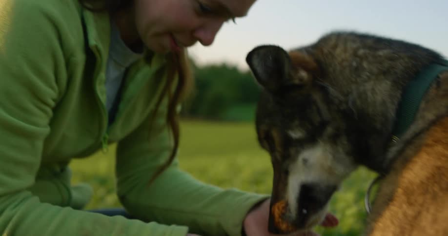 A woman pets and rubs a dog while kneeling in a field during the day