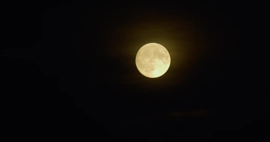 The full moon rises in the night sky