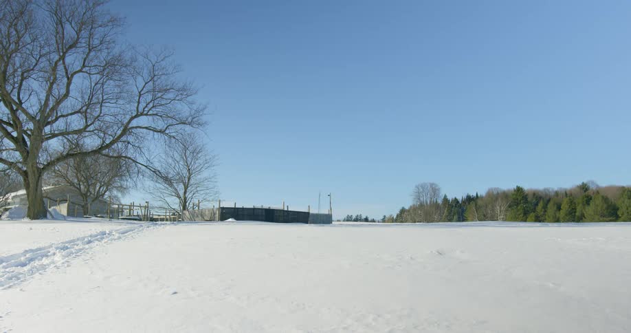 Snow covered field with tracks leading to a house and trees in the distance under a clear blue sky