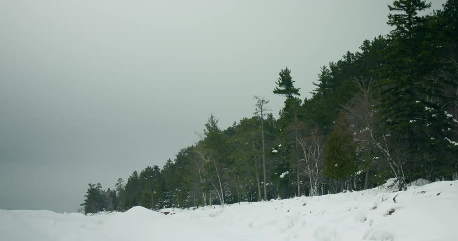 Snow covers plain bordering conifer forest under overcast sky