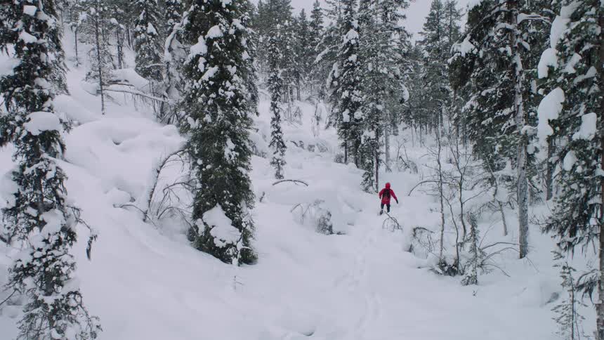 A person in a red coat walks through snow covered woods