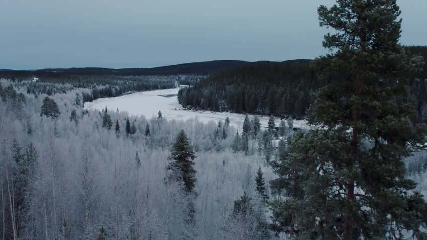 View of snowy terrain and woods