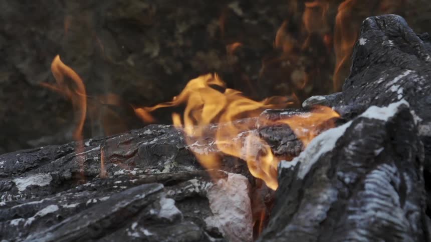 Orange flames rise from a charred log