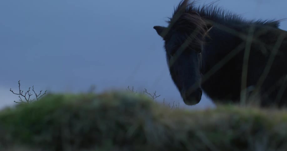 A horse in a rural area