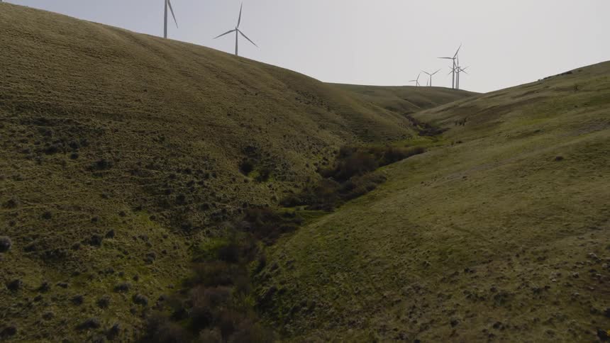 Tilt up from a hillside valley to reveal wind turbines working along a beautiful landscape