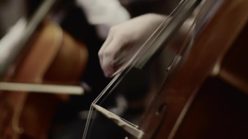 People in a room playing string instruments in an orchestra