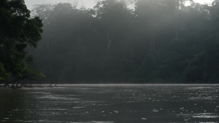 A flowing river lined with trees