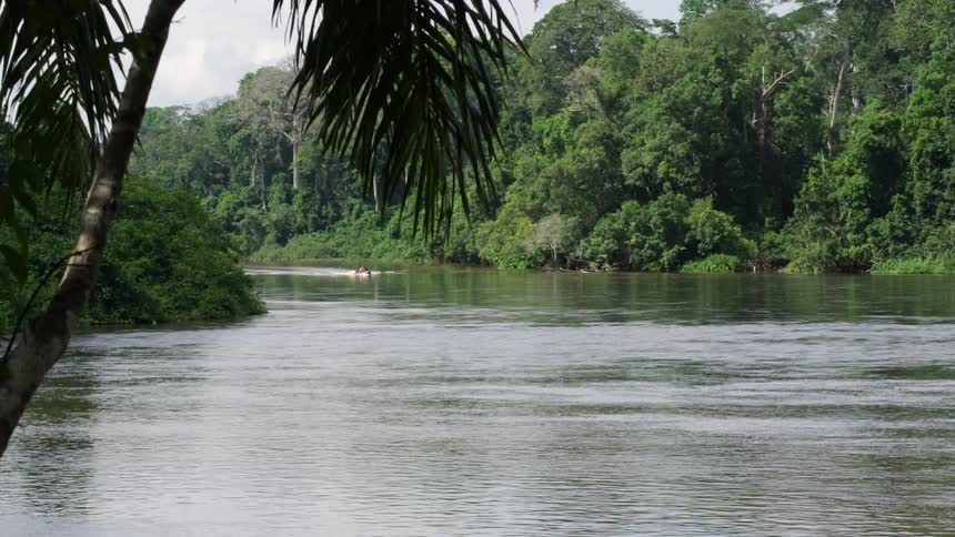 A flowing river lined with trees