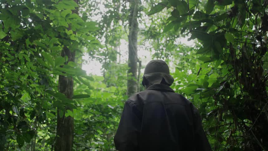 A man walks through the woods on a sunny day