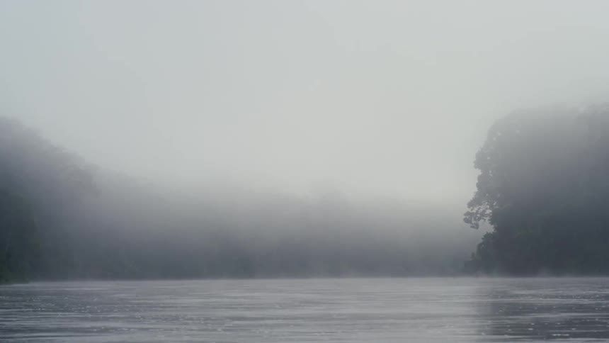 Fog hangs over the trees and water