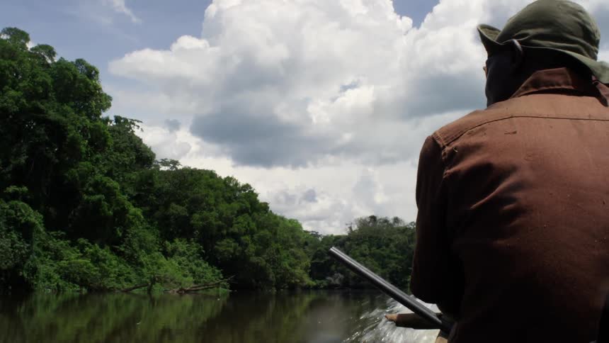 A small boat with passengers speeds down a river in a jungle