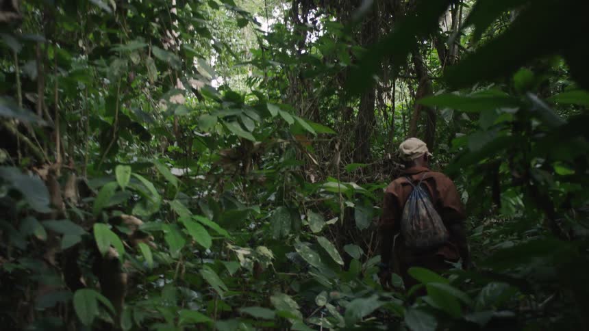 A man is hiking in a dense forest