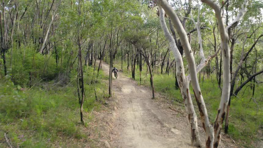 A person riding a bicycle and jumping over a ramps on a dirt pathway surrounded by trees with the sky and clouds in the background