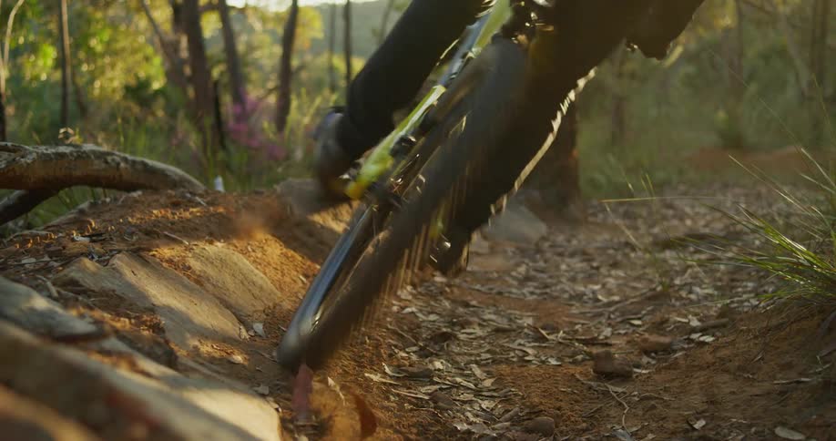 The sun glares down through the trees as a mountain bike rides on a dirt trail