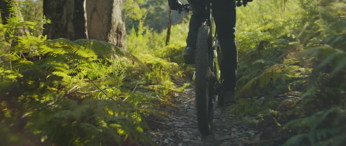 A cyclist climbs onto a bicycle and rides it along a narrow trail through a woodland during the day