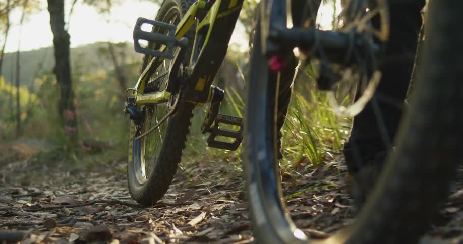 A person is pushing their bike in the woods