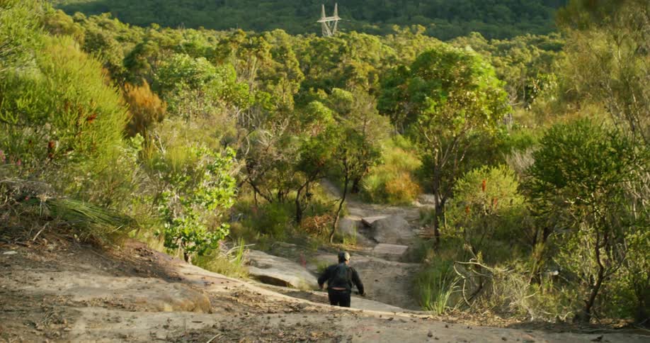 A man is biking downhill in the forest
