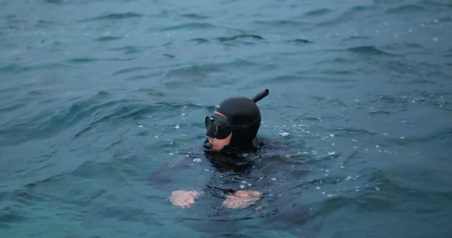 A man wearing snorkel mask and wet suit pops out of the water and looks around