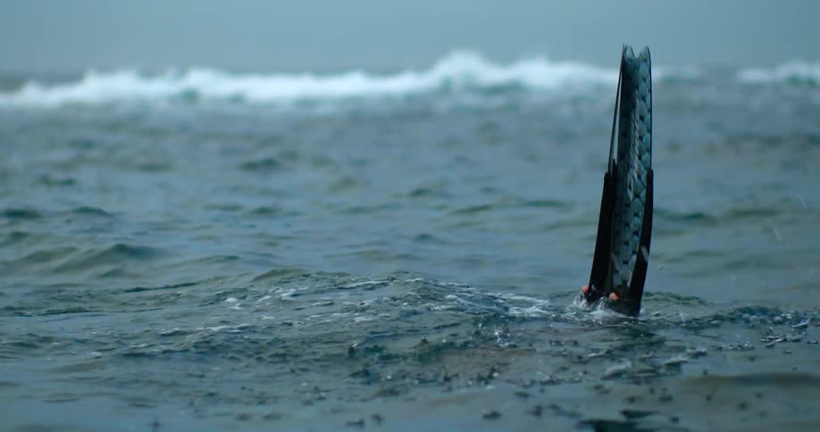 A diver in a wet suit goes under with legs and flippers straight up