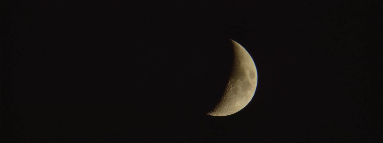 The moon is clearly seen in the night sky