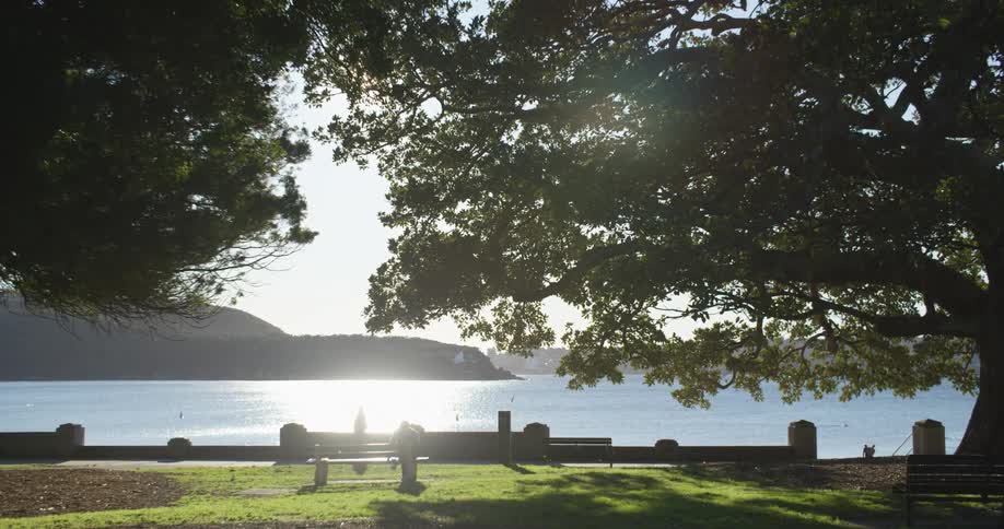 Man walking a dog in the park in front of the ocean at daytime