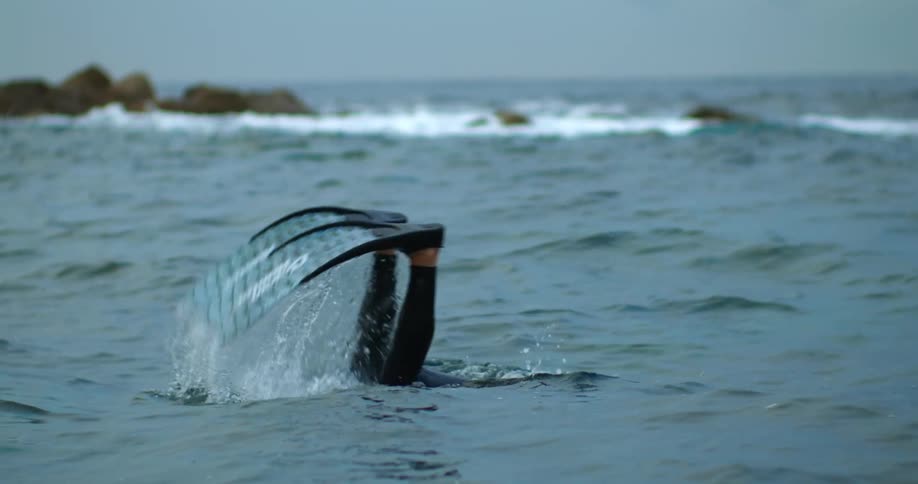 Man wearing a black wet suit snorkeling dives into the ocean