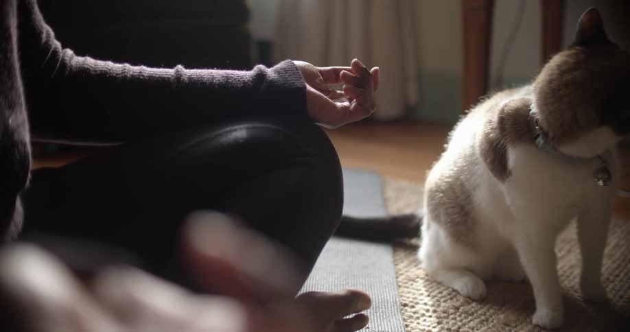 A woman meditating on the floor next to a house cat