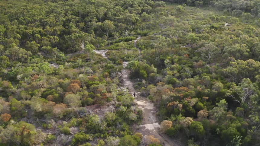 A view of a person riding a bike on a trail
