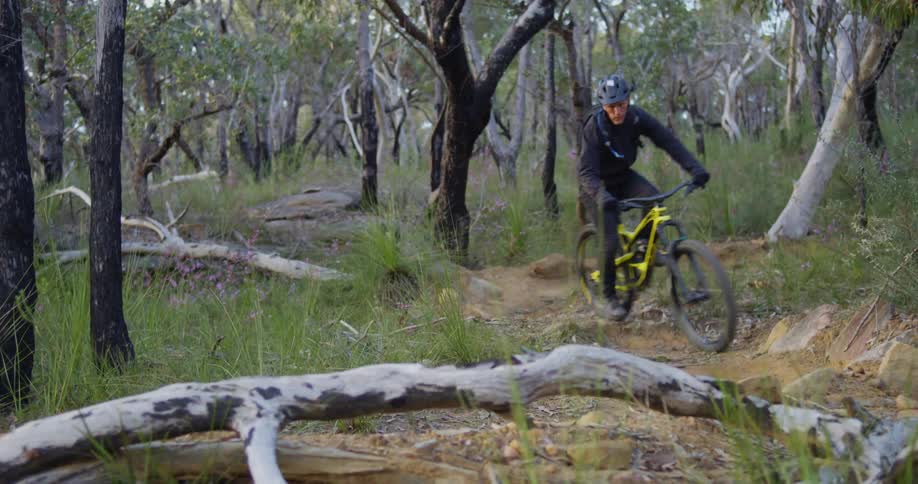 A man riding a mountain bike on a path winding through forest trees