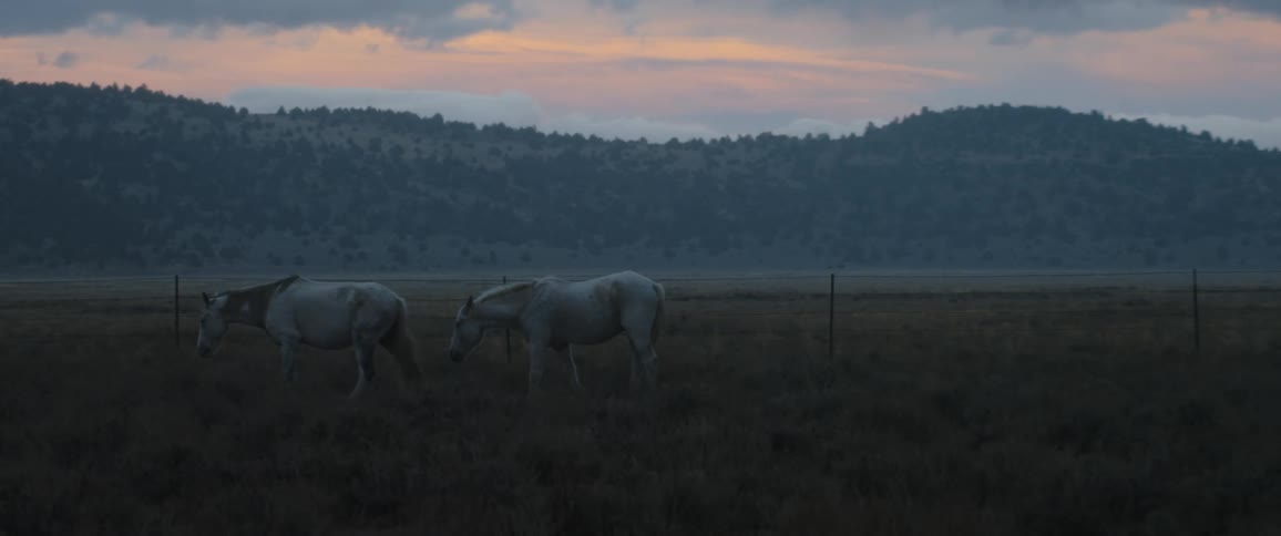 Two horses graze near a fence with hills behind them