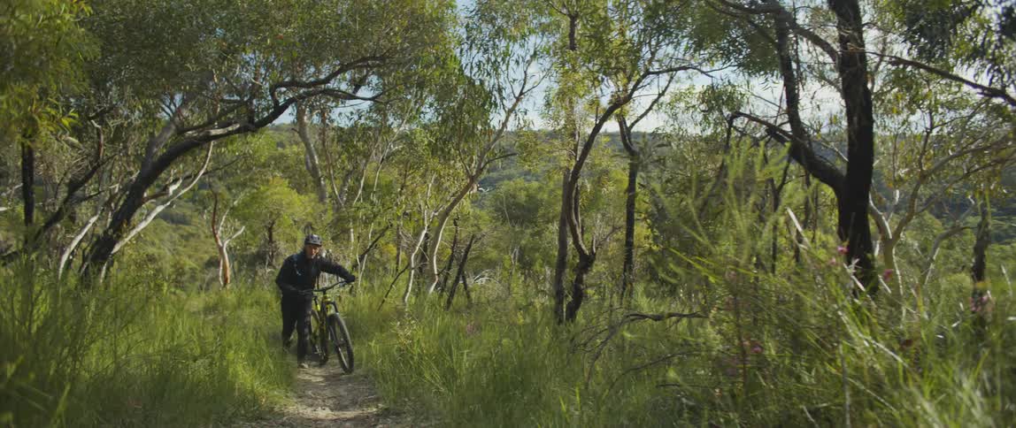 A person with a helmet walking a bicycle on a path surrounded by trees with the sky and clouds in the background