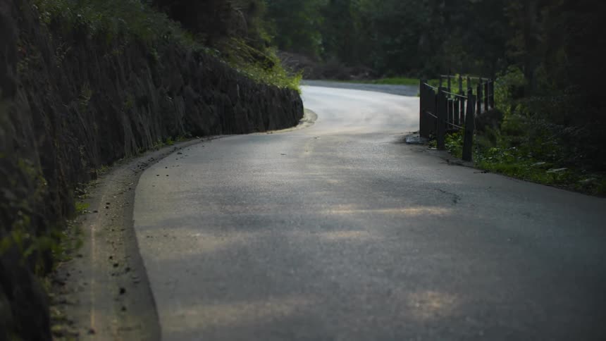 A driveway next to a cliff and plants