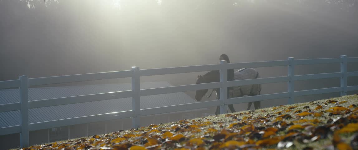 A woman walks a horse along a fence on a sunny autumn day