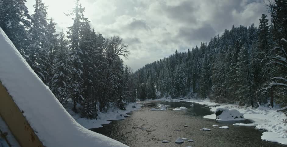 A river is melting in an arctic area near a forest