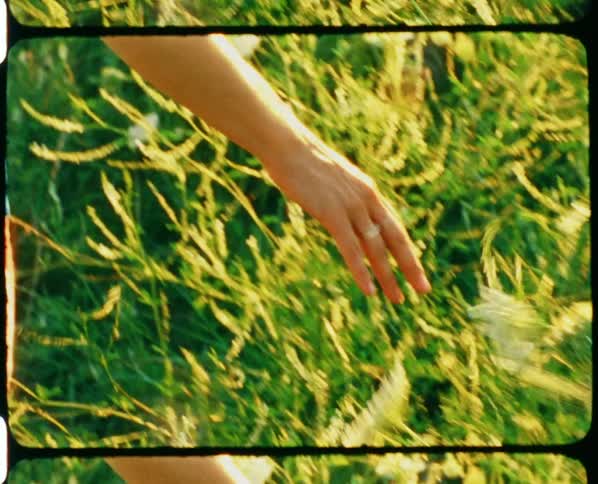 Young blonde woman touching wild flowers in the prairie at sunset