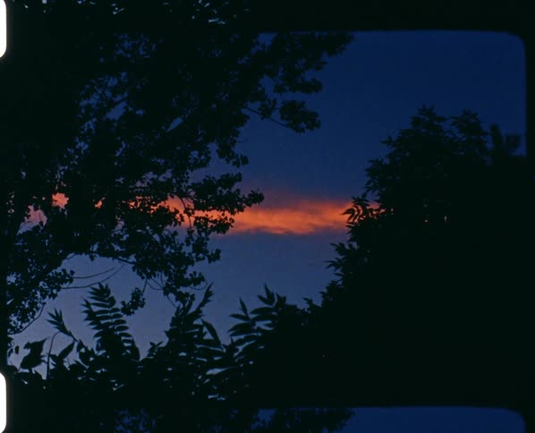 Sunset causes an orange strip of light on the horizon while wind blows leaves on tree branches on shore