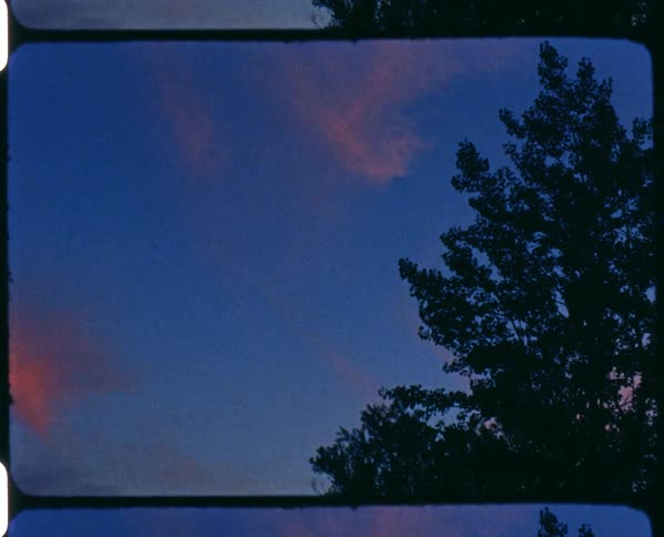 A filmstrip of a tree and a few clouds above it