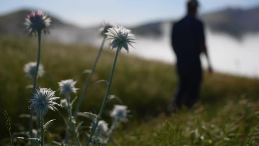 A man is hiking on the grass filled hill
