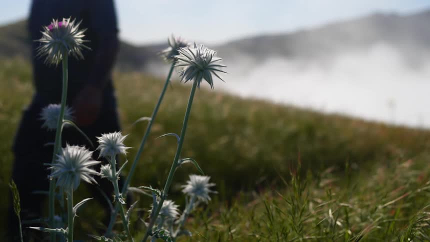 A man walks through a hilly grassland during the day