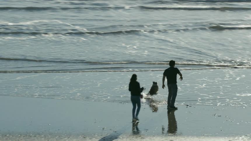 A man a woman and a dog on a beach with the ocean in the background