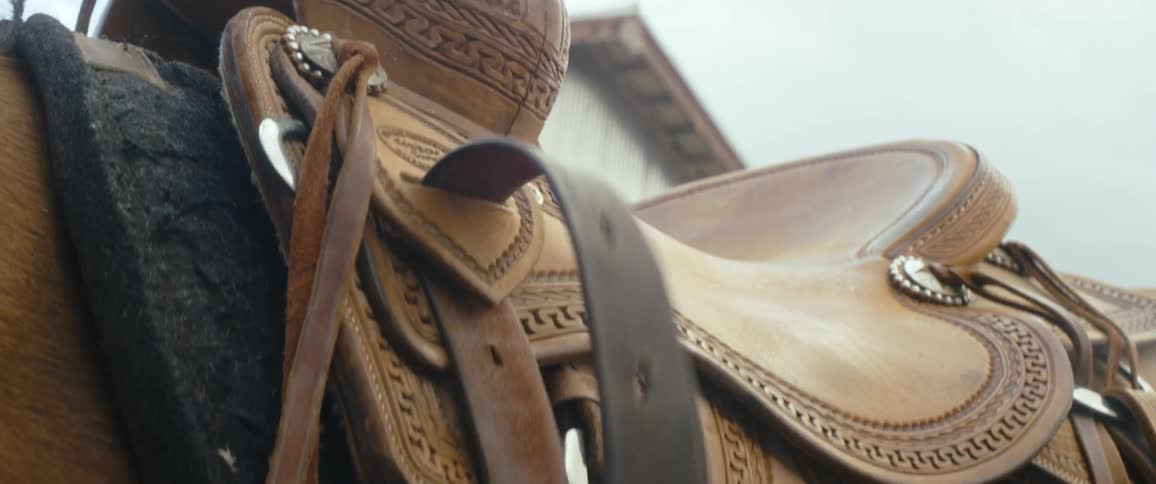 A horse rider tightens the saddle on a brown horse