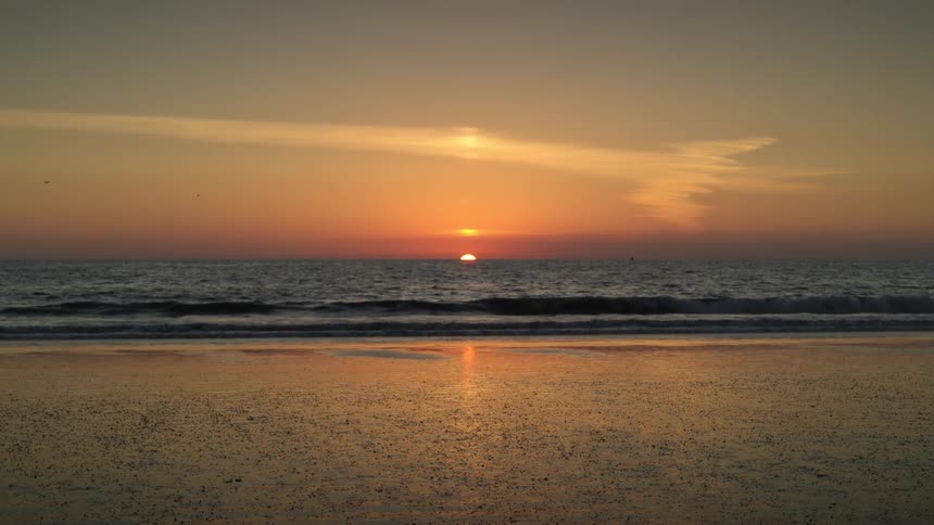Waves come to shore as gulls fly over at sunset