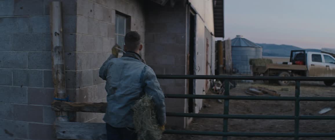 Man carries bundle of hay past gate before throwing it to horse as dog moves through corral