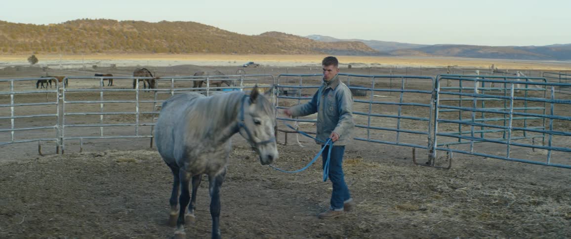 A man walking around with a horse outdoors