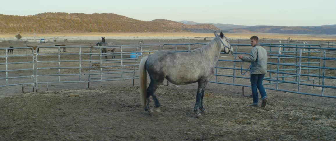 A man leading a horse with rope and tying it to a fence with a landscape the sky and clouds in the background