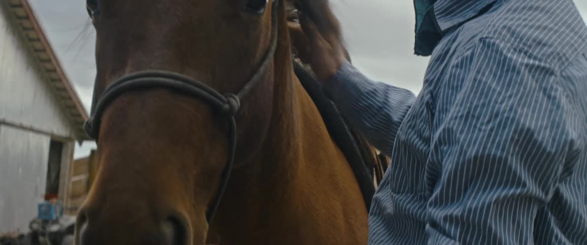A teenage boy pets his horse as two dogs stand by and watch