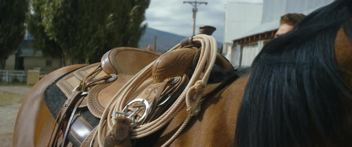 A young man puts a saddle on a horse