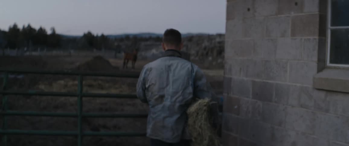 Man carrying hay opens gate to horse coral as horse stands