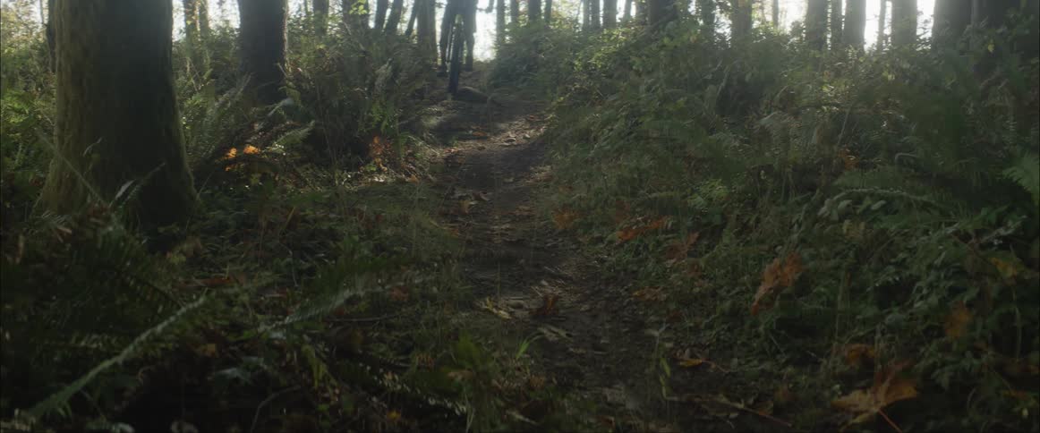 A cyclist rides a bicycle on a rough trail though the woods